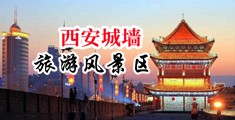 强奸性感美女黄片儿免费观看中国陕西-西安城墙旅游风景区